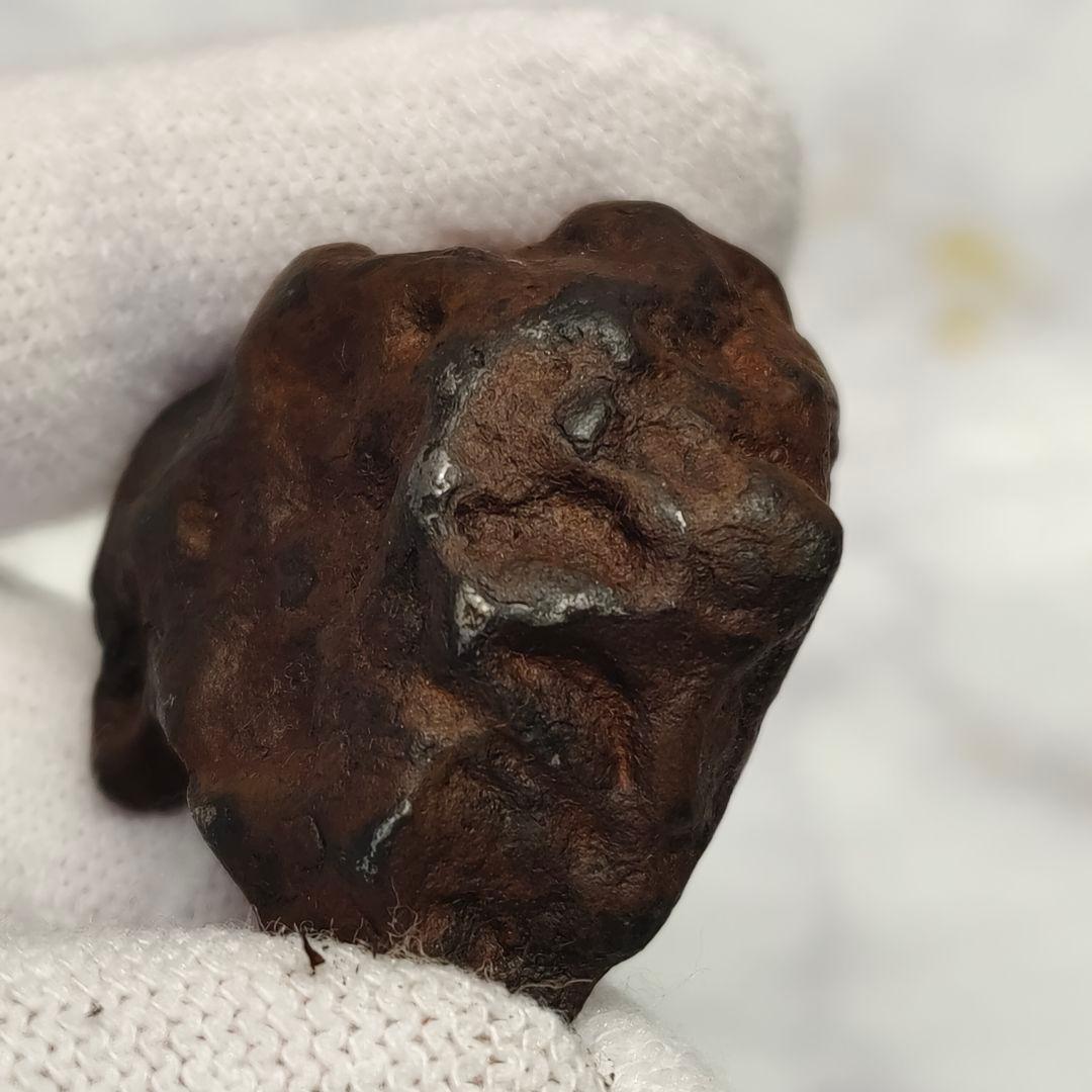 アグダル隕石 42g NO.435