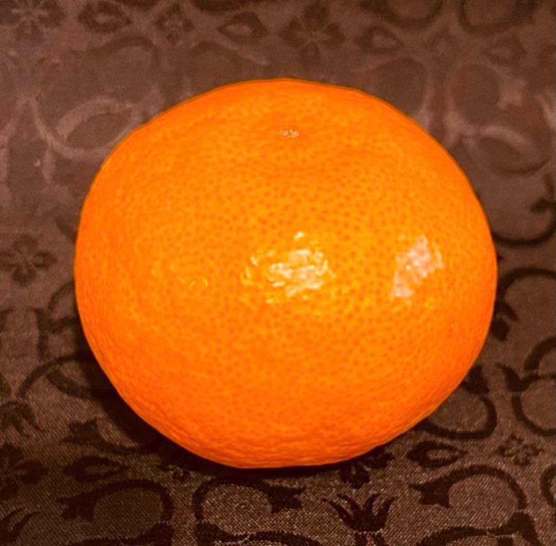 229)数量限定　甘すぎる　有田みかん　果物 　みかん　小玉　旬