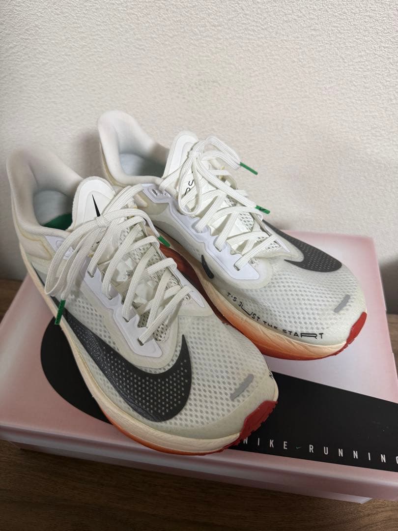 ナイキ ズーム フライ 6 \"Eliud Kipchoge\" 25.5cm