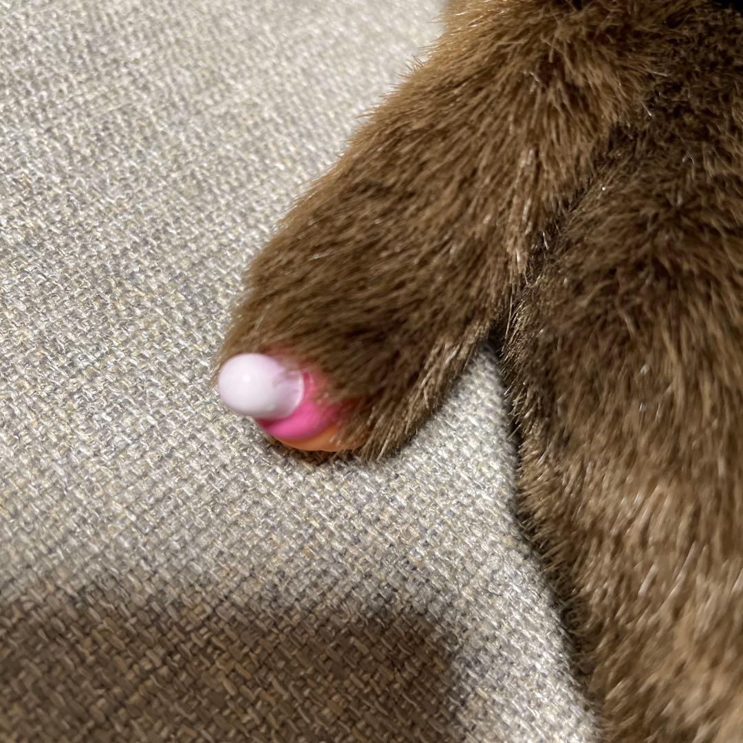 モンチッチ アニバーサリー LOVE 男の子 mcc