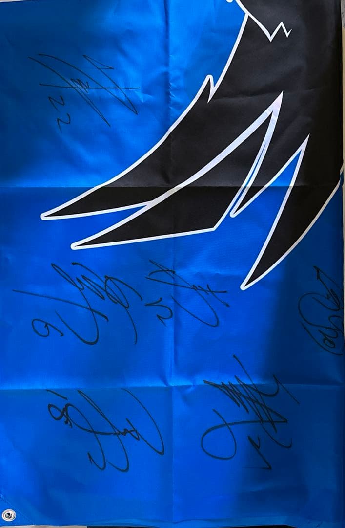 パンサーズ　応援旗　タペストリー