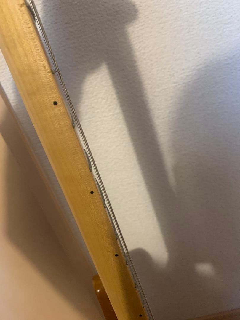 フジゲン ネオクラシック テレキャスター　エレキギター