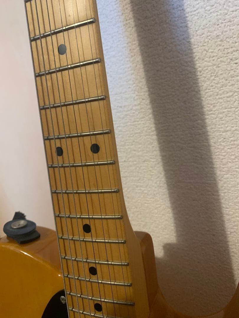 フジゲン ネオクラシック テレキャスター　エレキギター