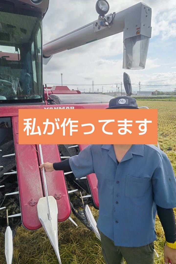 コシヒカリ　【JAS認定】有機米10キロ 玄米　送料込　令和7年産