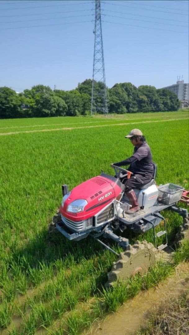 コシヒカリ　【JAS認定】有機米10キロ 玄米　送料込　令和7年産