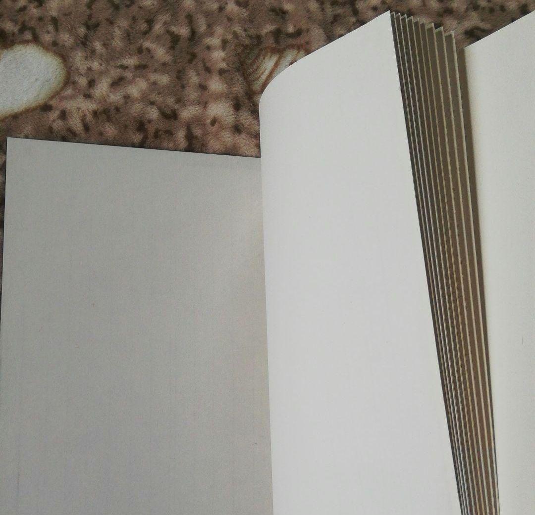 (大)旧蔵した書道、水墨画用1980年代栄宝斎販売した紅星画仙紙最高級折本集画帳