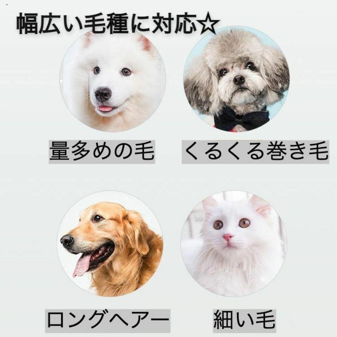 Vanさん専用40個