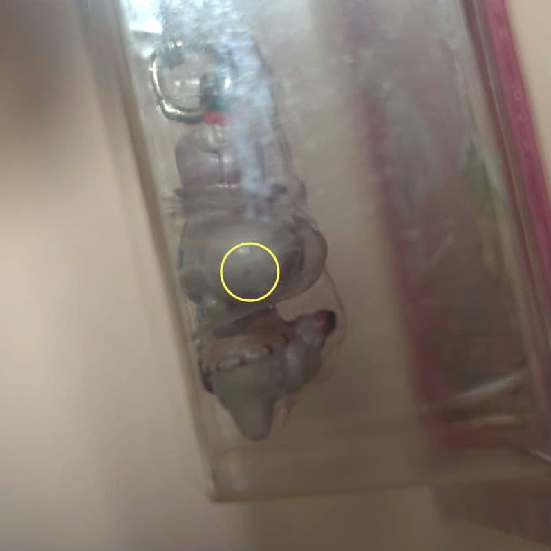 【 未開封 】　サンリオ　ハートフルパレード　ビリーヴ　マスコット　シナモン