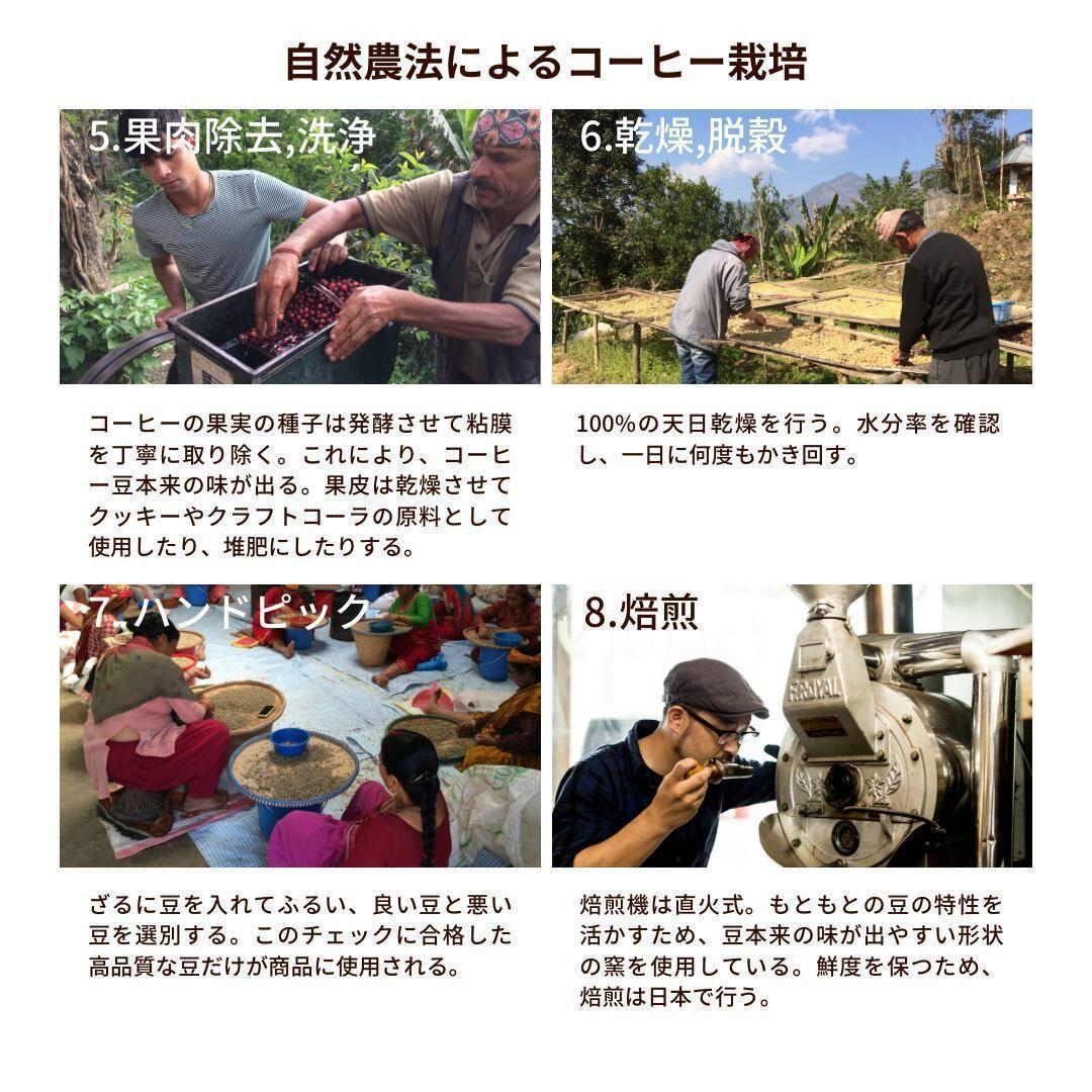 ★オーガニックコーヒー ダーク フェアトレード 1kg 粉 コーヒー豆 ネパール