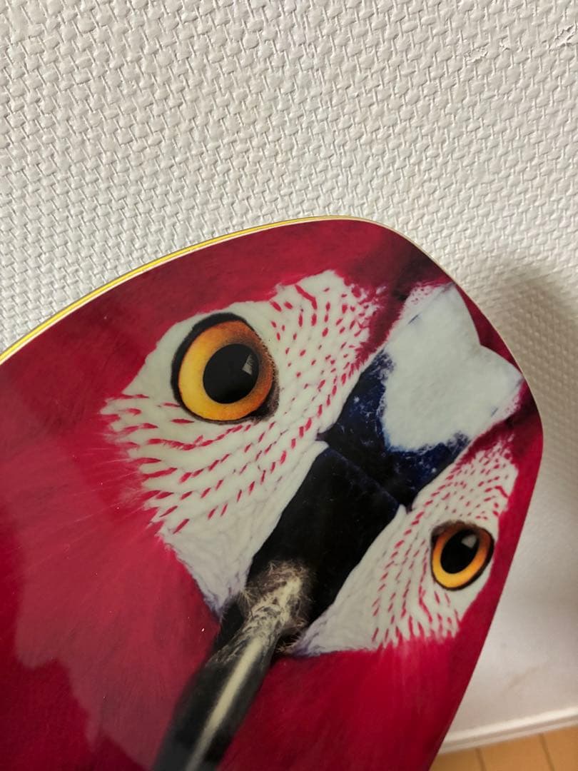 BATALEON DISTORTIA 143 バタレオン グラトリ パーク