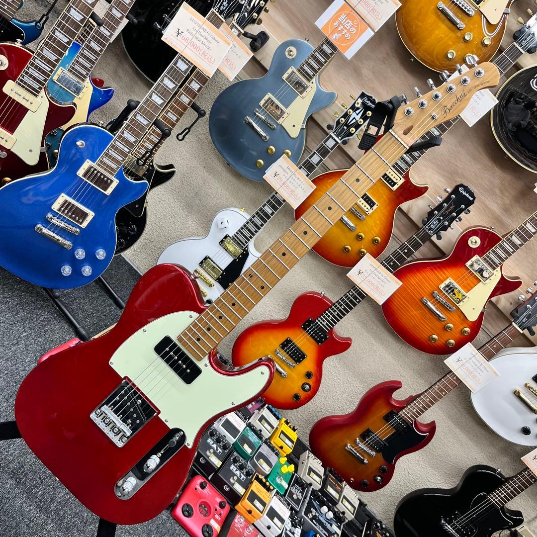 【ソフトケース追加、直接引き取り11294】Bacchus BTE-2-RSM