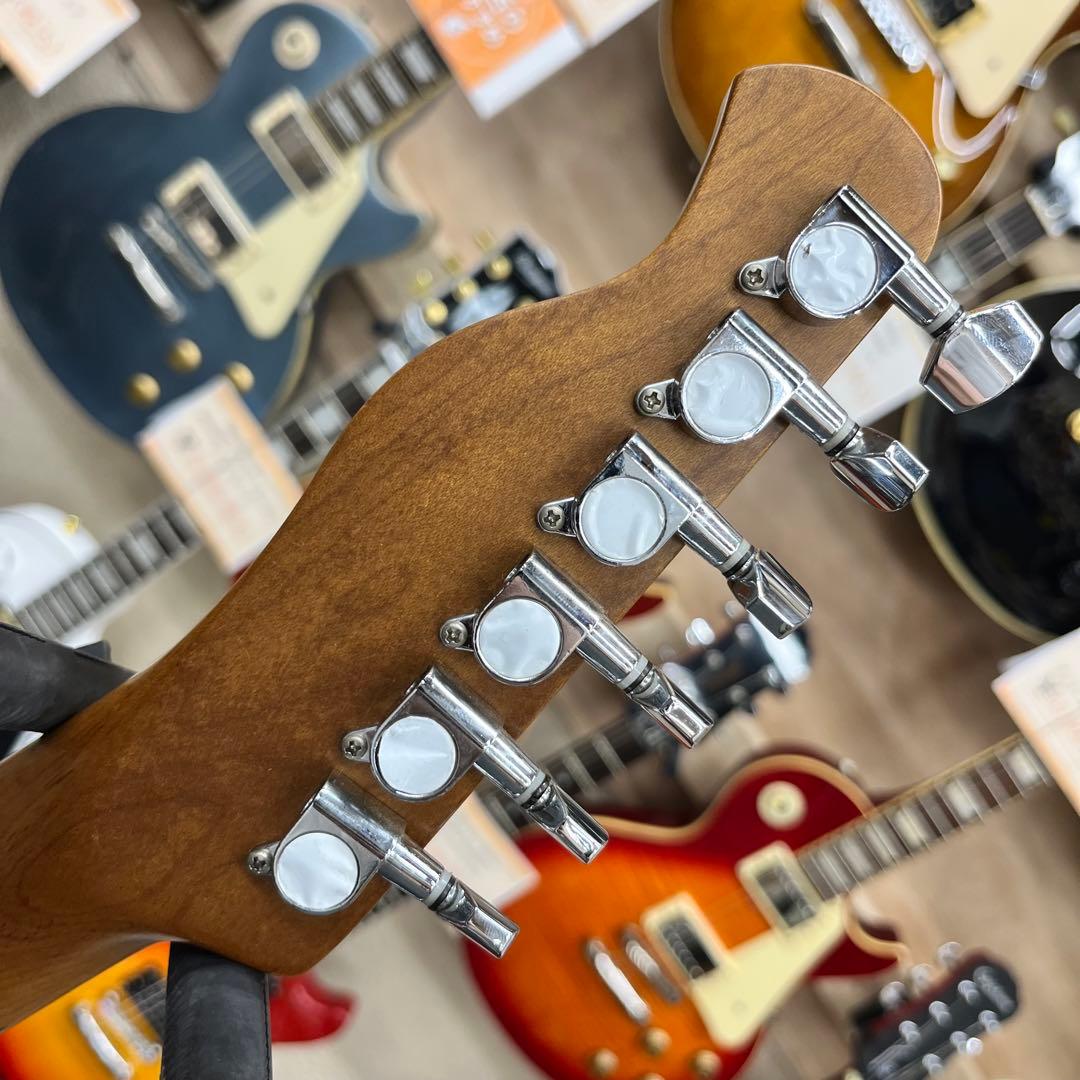 【ソフトケース追加、直接引き取り11294】Bacchus BTE-2-RSM