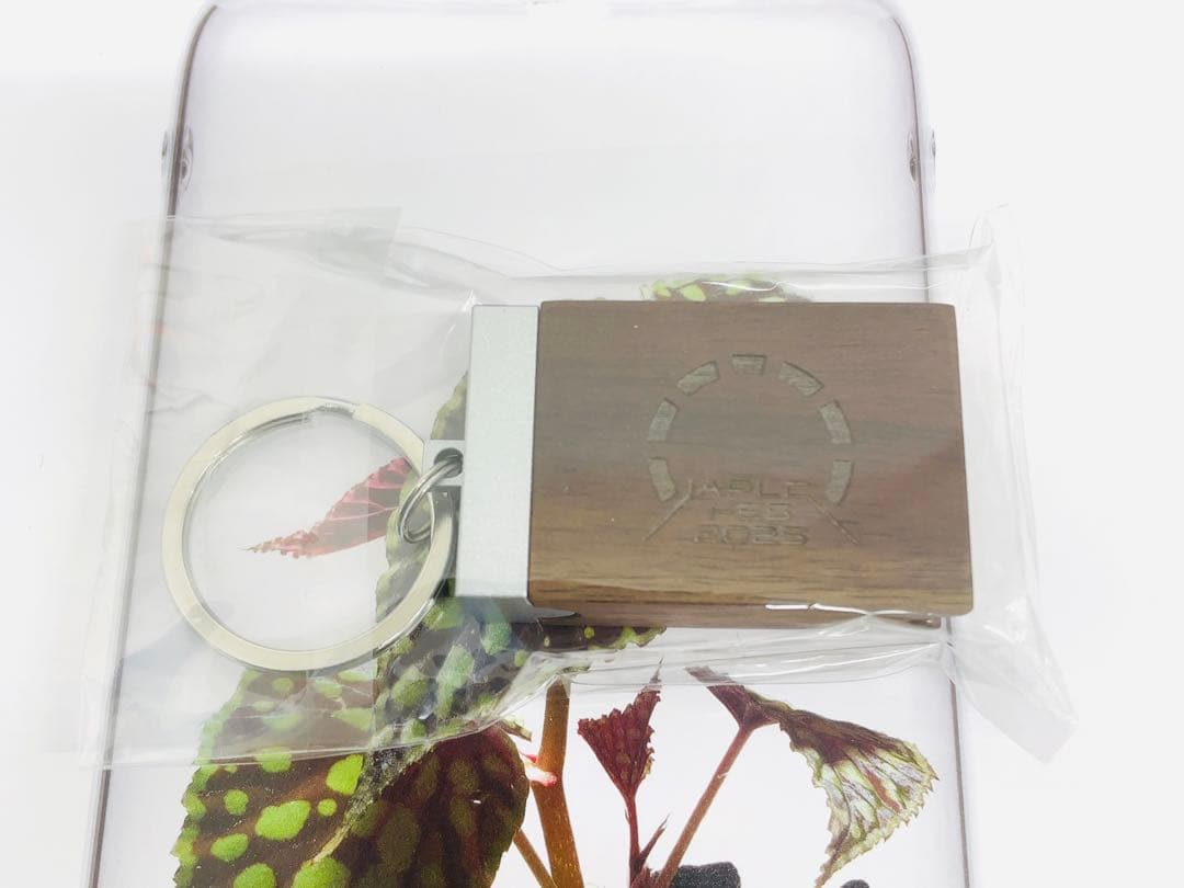 新品未使用 キーホルダー ウォルナット ADA　AquaDesignAmano