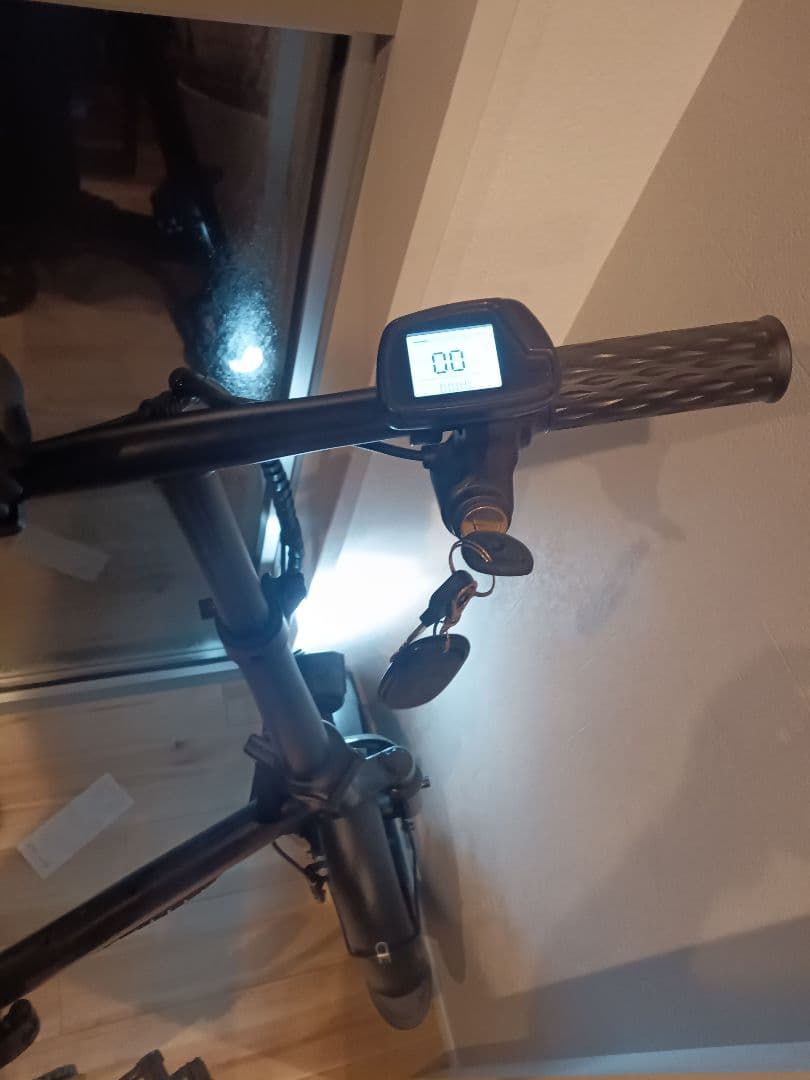 大人気の電動折り畳みアシスト自転車 ブラック