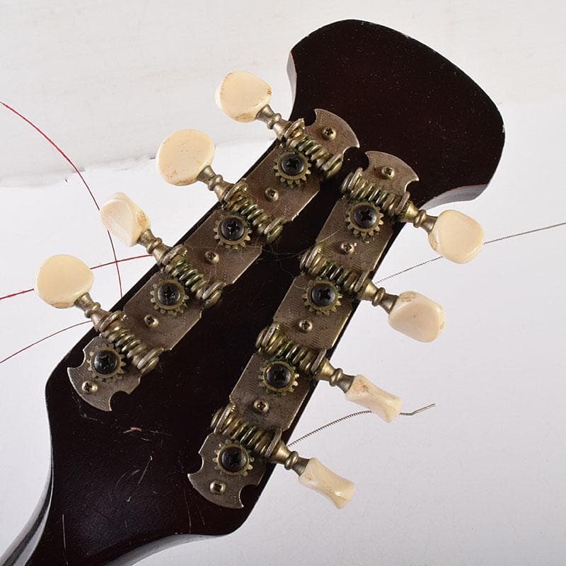 楽器　弦楽器　マンドリン　Arai　N　6981C