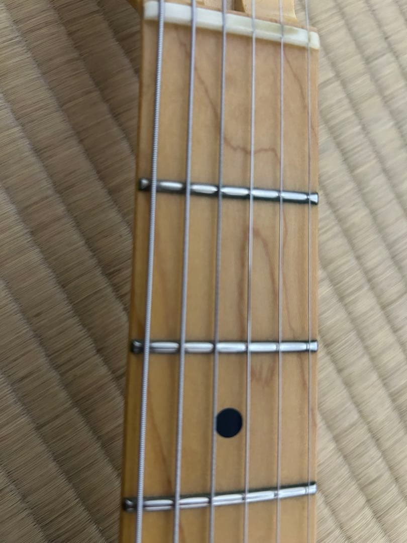 FUJIGEN NTL10 MAHT テレキャスター シンライン