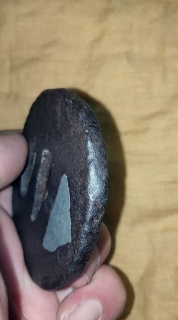 ♦最終価格♦鉄鍔　鐔(笠文図　大野)桃山〜江戸時代　 保存刀装具鑑定書と箱付き