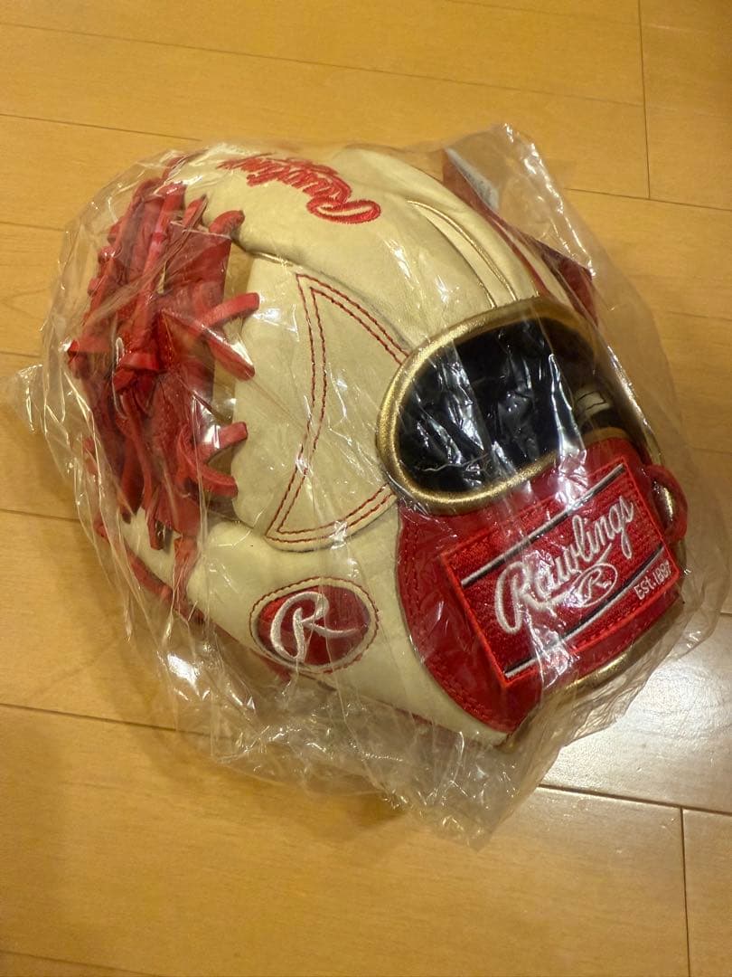 Rawlings トレーニング用硬式グローブ GH4FGTK4T
