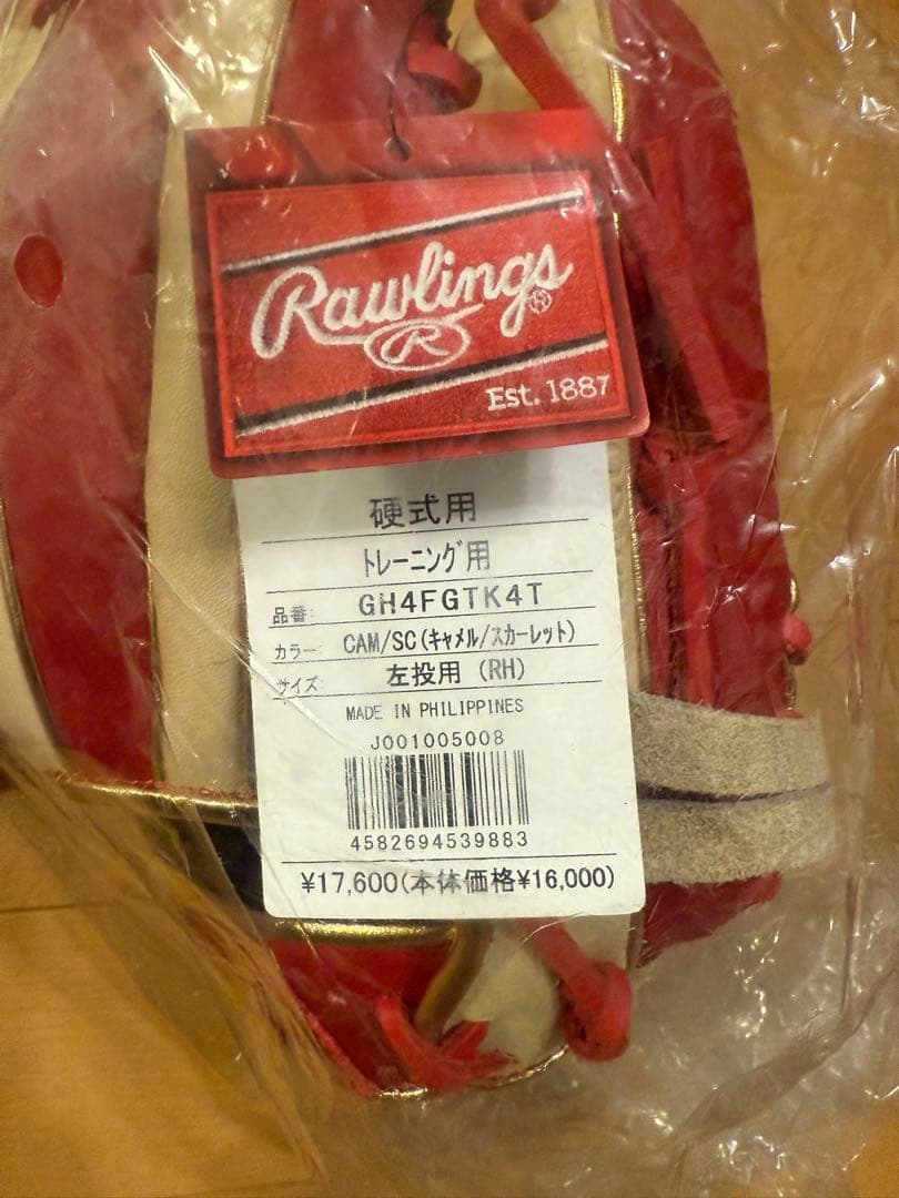 Rawlings トレーニング用硬式グローブ GH4FGTK4T