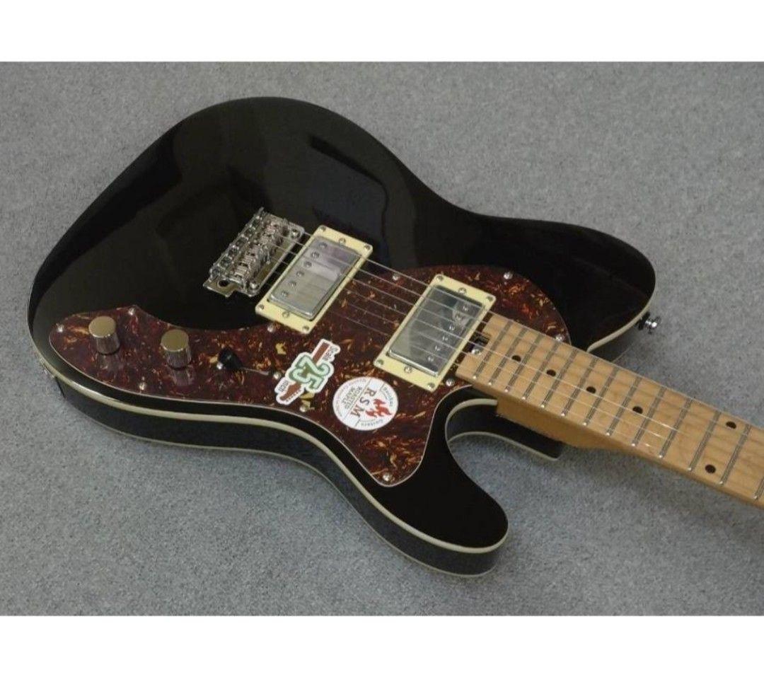 ギター Bacchus TACTICS-CTM25 RSM/M BLK