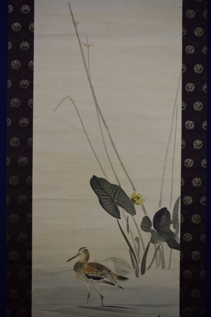 真作/川端玉章/河骨水禽図/河骨水鳥図/絹表装/布袋屋掛軸HI-346