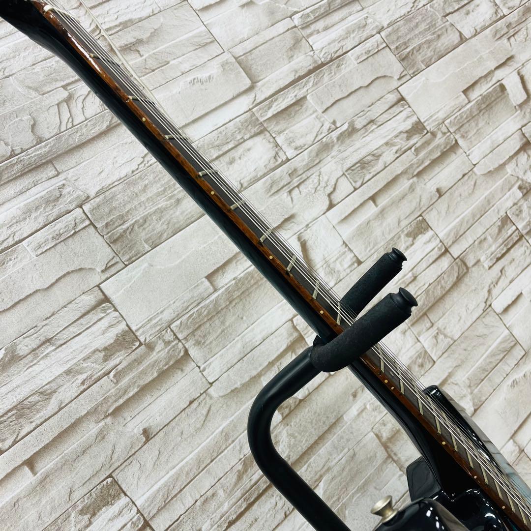 Fernandes フェルナンデス THE FUNCTION エレキギター