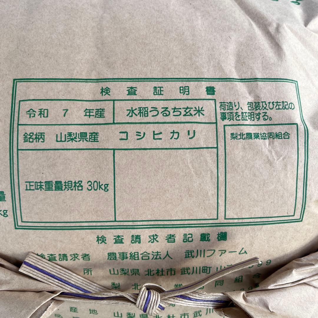 山梨県産 武川米　コシヒカリ 10kg 玄米　白米　令和七年度産