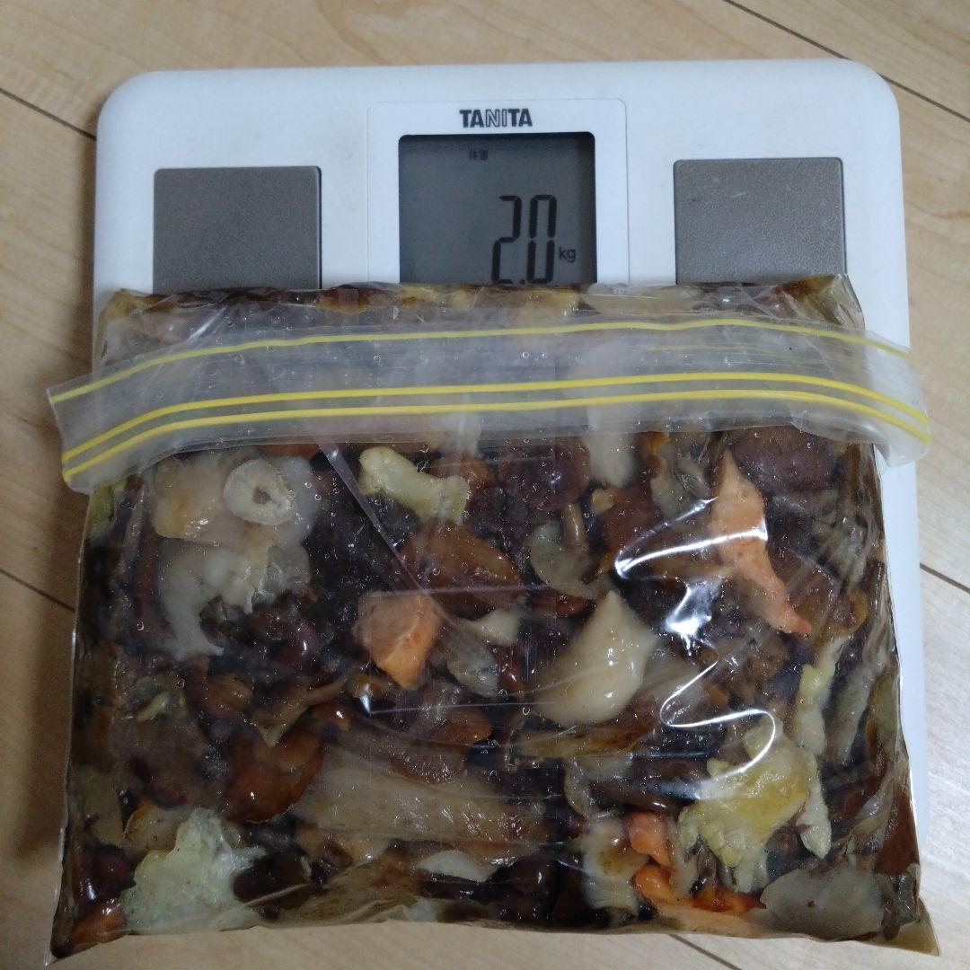 秋田県産 天然きのこ 10種類MIX 塩漬け