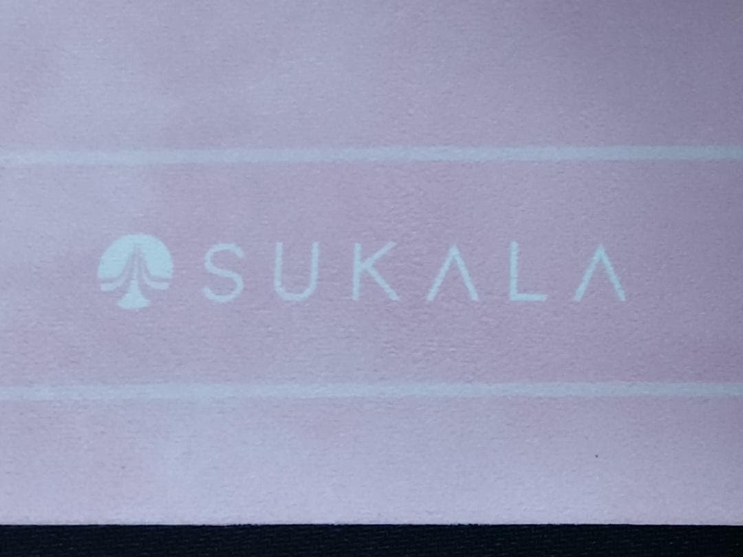 【のもっち】LAVA WEB限定 トラベルヨガマットディズニー　ミニー