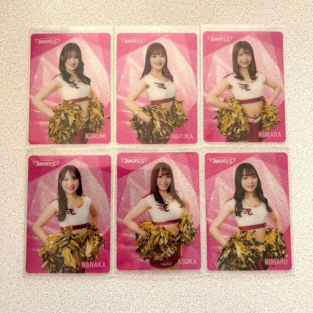 東北ゴールデンエンジェルス2024 シーズン グルメカード 全22枚