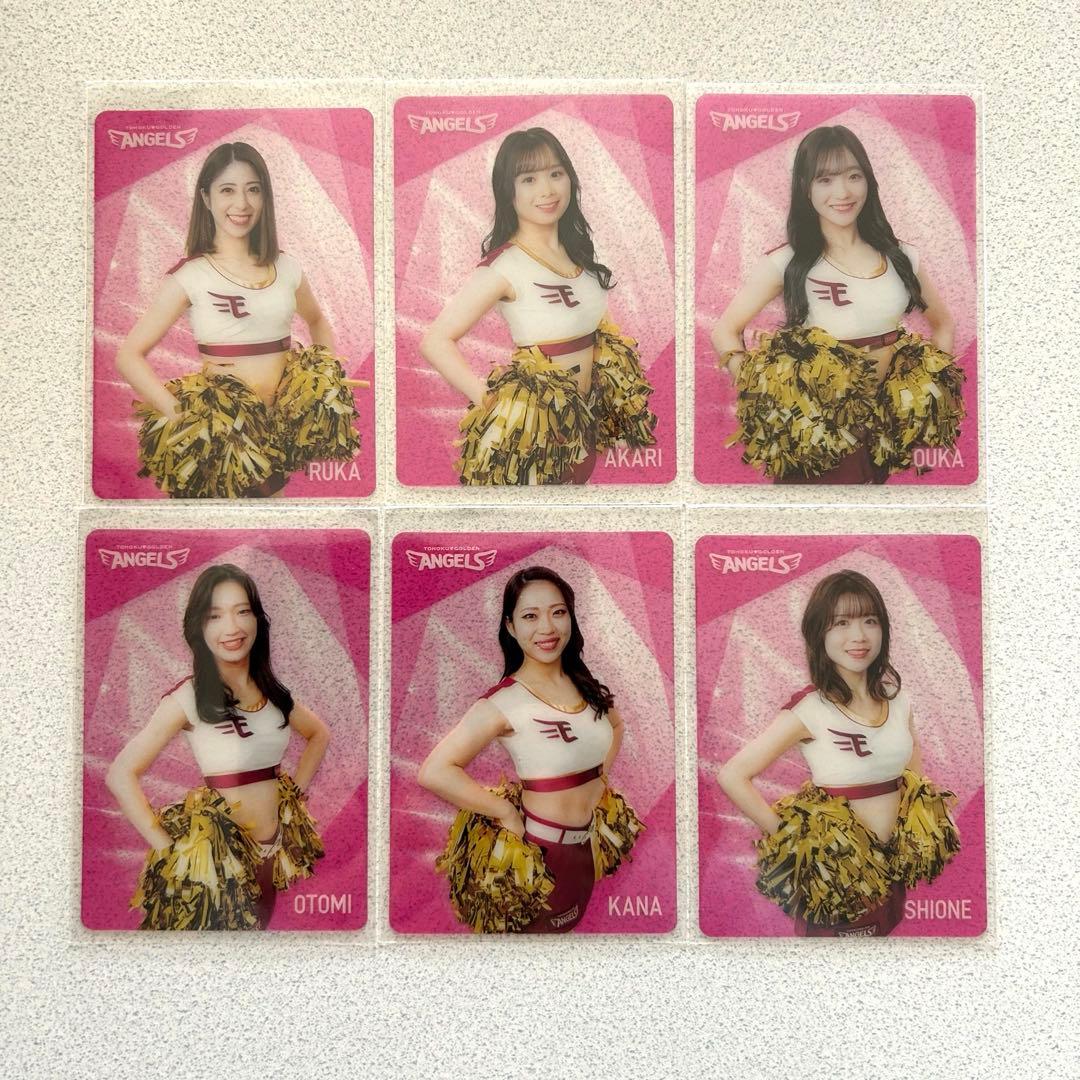 東北ゴールデンエンジェルス2024 シーズン グルメカード 全22枚