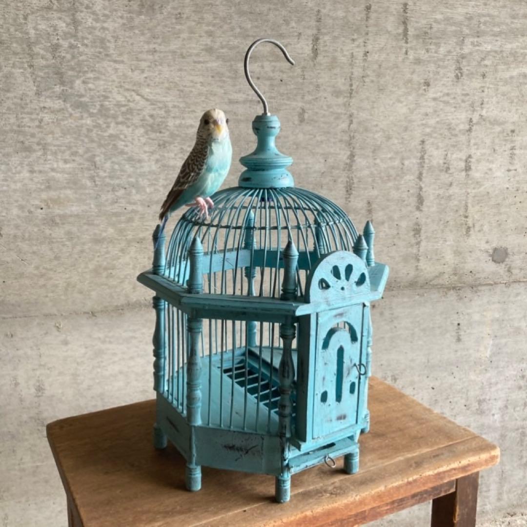 鳥籠 バードゲージ カゴ 小鳥 置物 吊り下げ 水色 青 シャビー レトロ