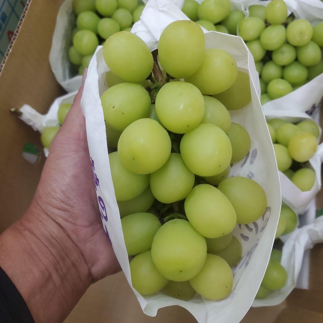 4️⃣ 山梨県産 シャインマスカット １０房入り 箱込み5.7キロ