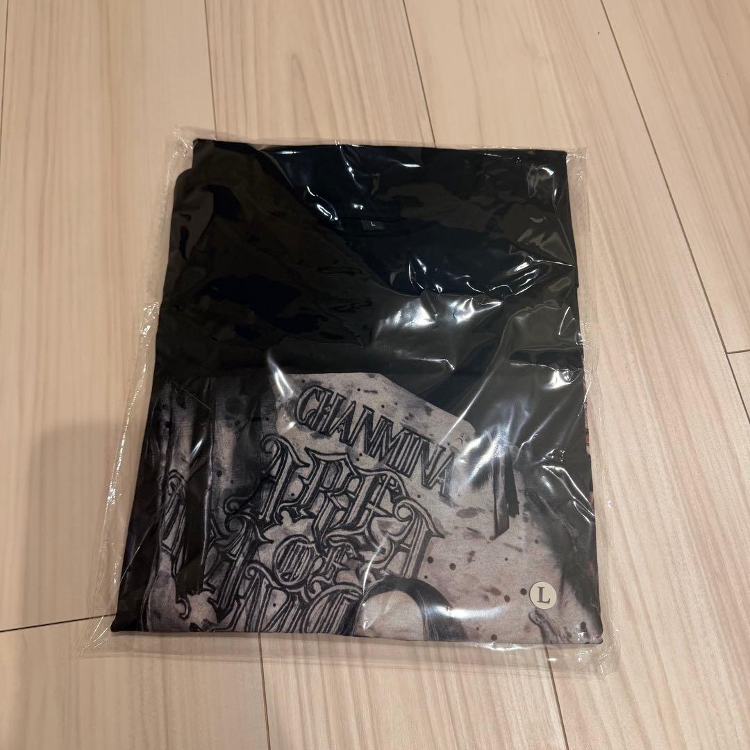 ちゃんみな tシャツ L areaofdiamond4 aod4