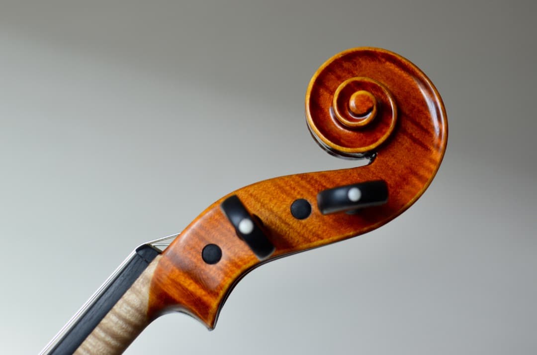 【新品】Gliga Vasile Maestro バイオリン 4/4