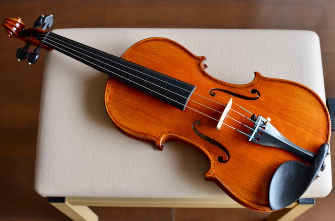 【新品】Gliga Vasile Maestro バイオリン 4/4