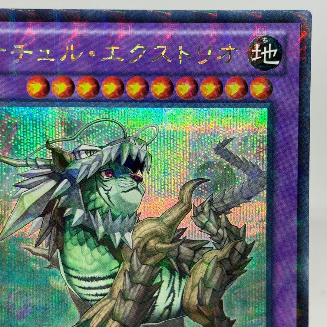 ナチュルエクストリオ　DTC　シークレット