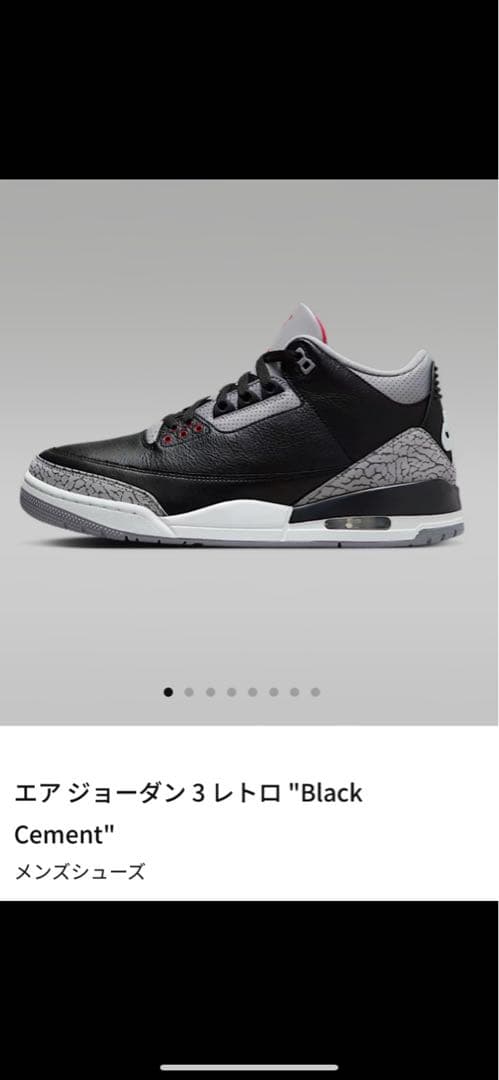 エア ジョーダン 3 レトロ \"Black Cement\" 28.5cm