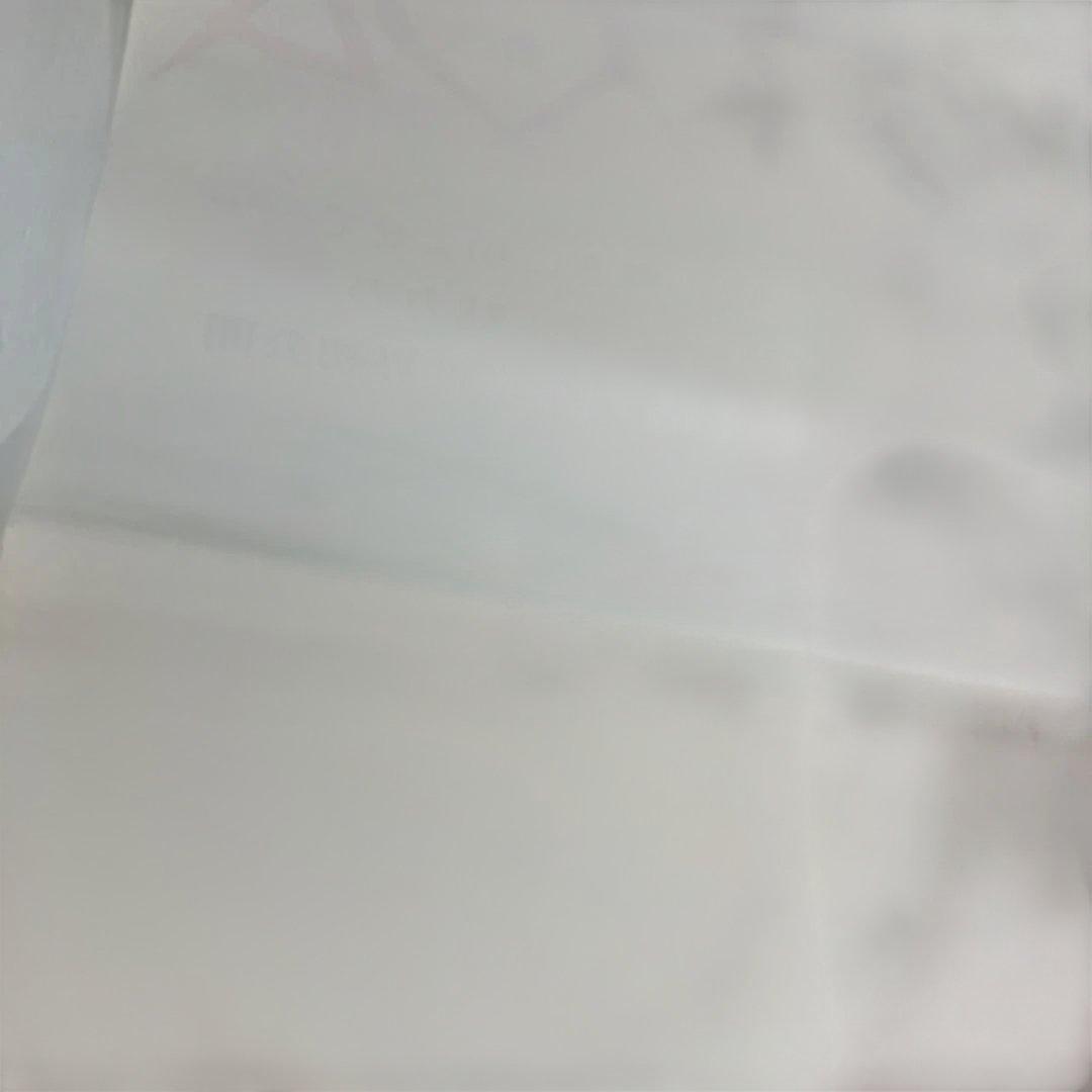 太陽の恋人 アグネス・ラム　映画ポスター