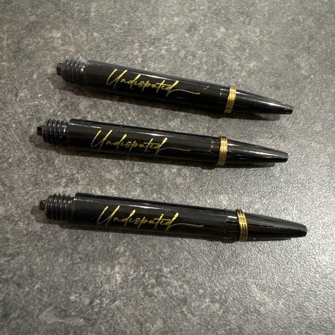 RICARDO α リカルド トリニダード ダーツ 浅田斉吾モデル