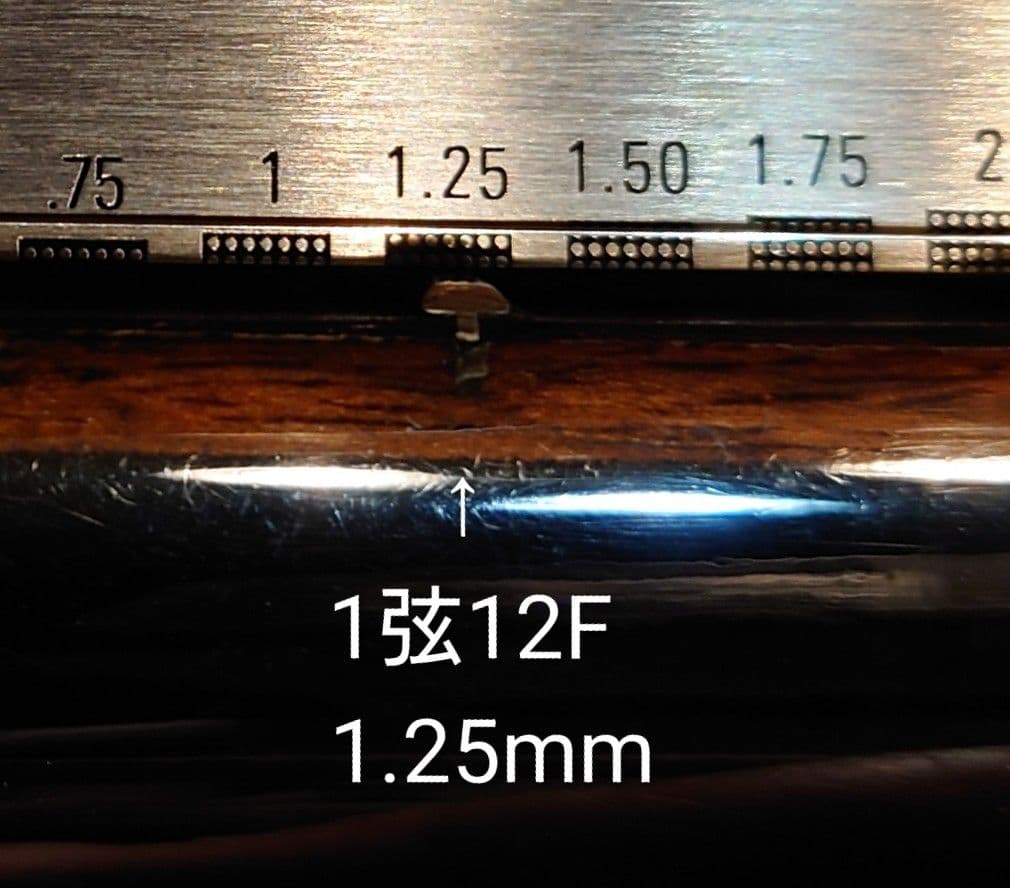 フェルナンデスエクスプローラーEX-145 ジャパンビンテージ　ギブソン風