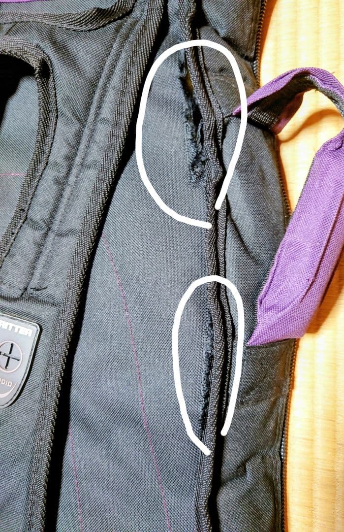 フェルナンデスエクスプローラーEX-145 ジャパンビンテージ　ギブソン風