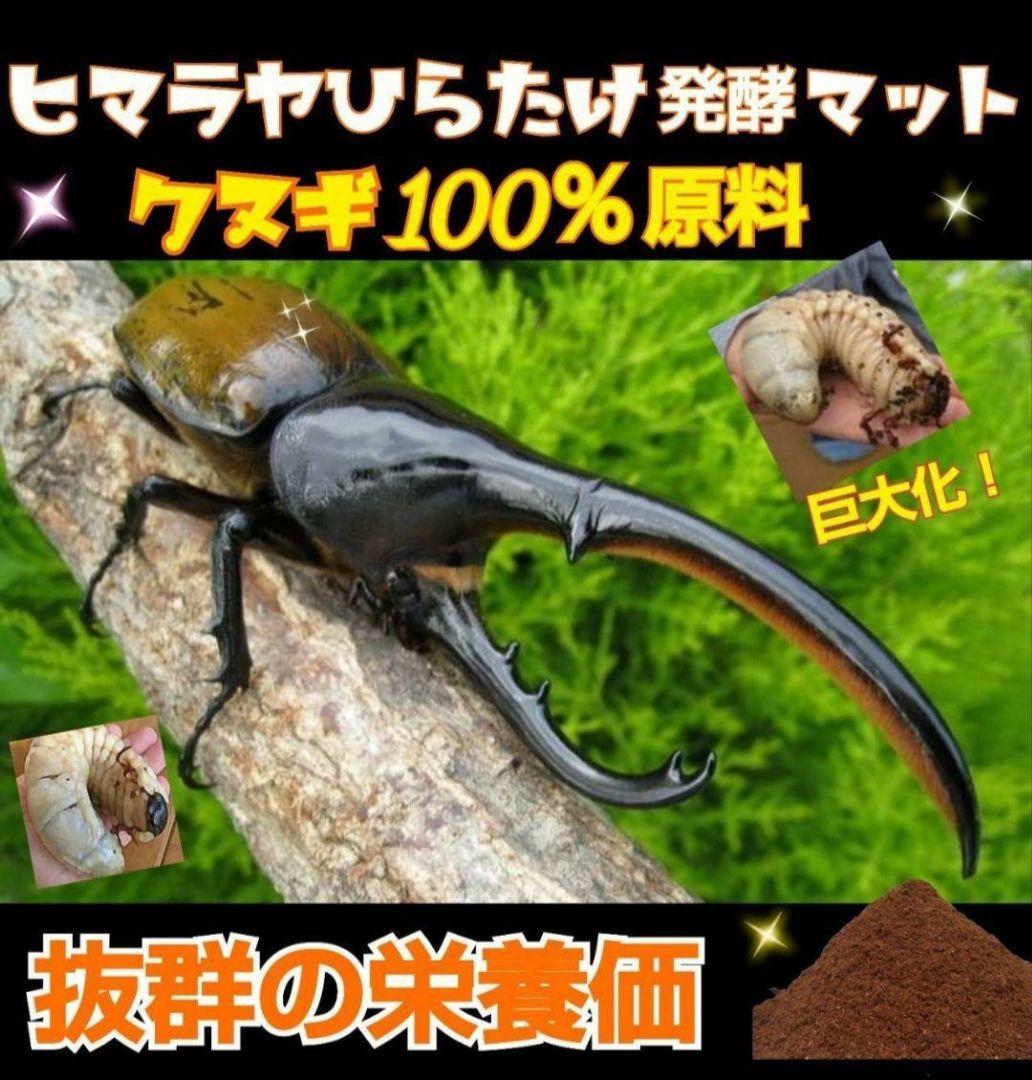 たっぷり100リットル　カブトムシ幼虫が大きくなる！発酵マット　雑虫がわかない