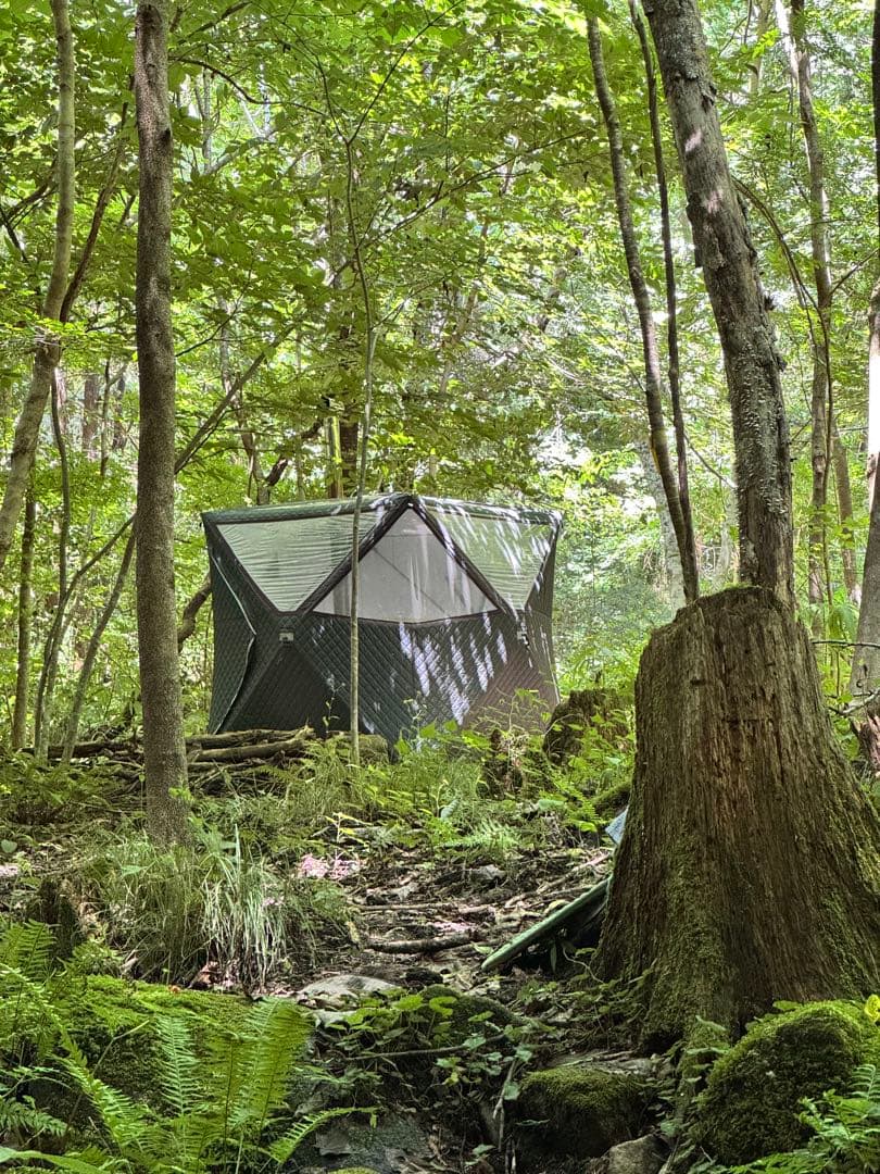 【期間限定価格】pastoral nomad テントサウナ 本体のみ 中古品