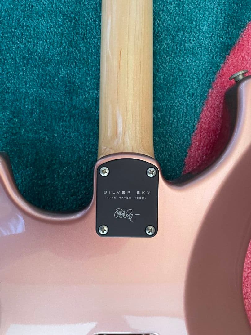 ギター PRS(Paul Reed Smith) Silver Sky