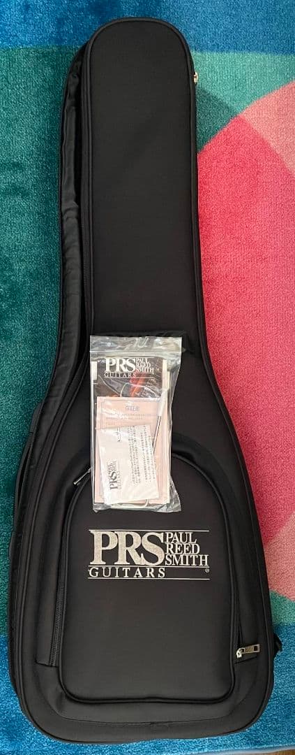 ギター PRS(Paul Reed Smith) Silver Sky