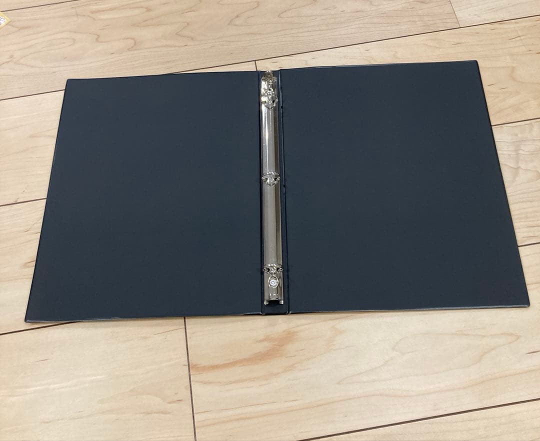 ポケモンカード　公式コレクションファイル