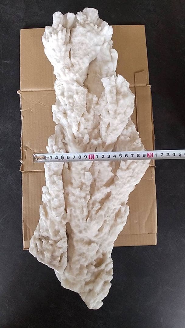 鍾乳石　天然石　天然記念　盆石　鉱物　化石　景石　結晶　古道具　オブジェ