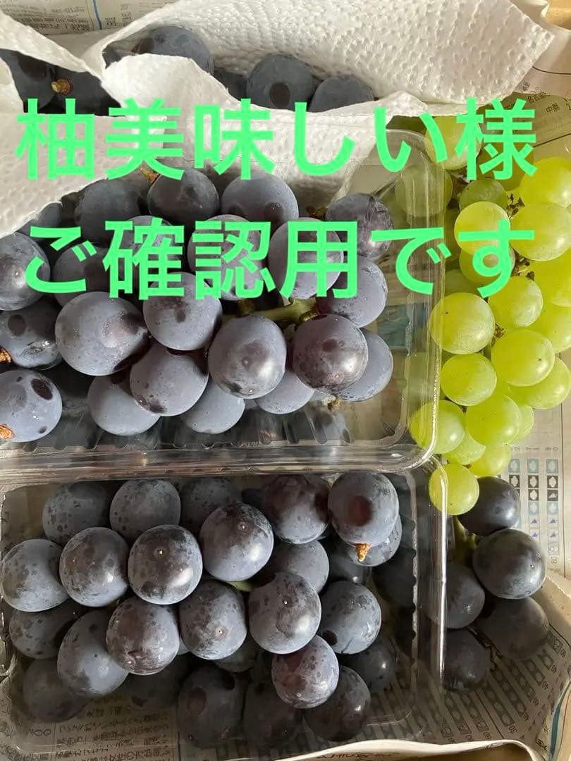 信州産長野パープル