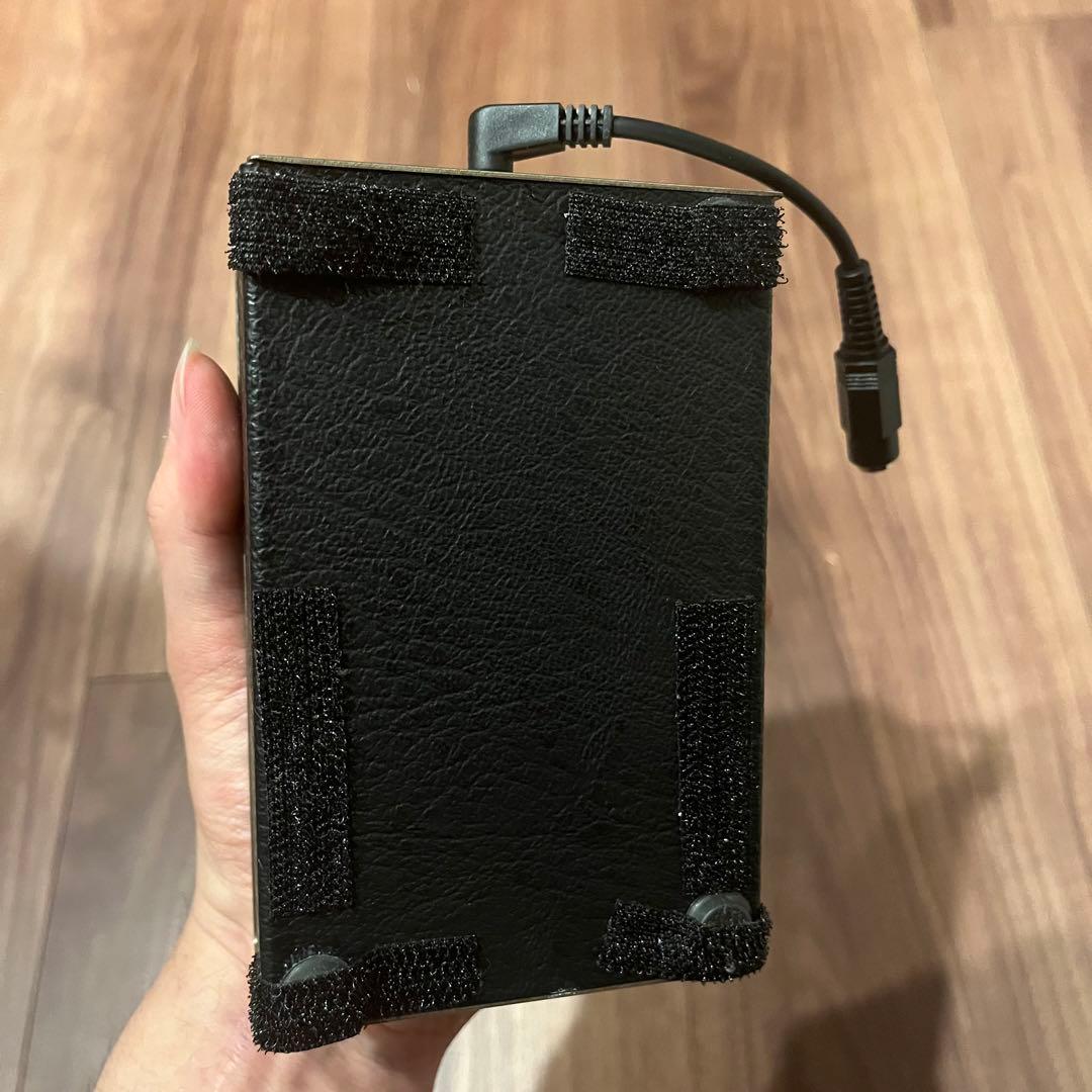 希少　Electro Harmonix Holy grail 初期型　チキンノブ